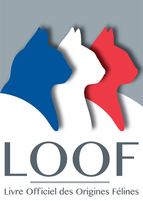 Logo du Livre Officiel des Origines Félines.