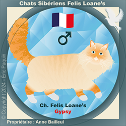 Ch. Felis Loane's Gypsy