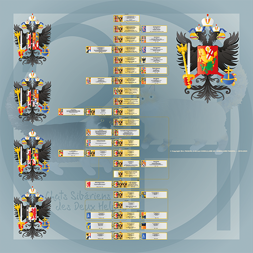 format réduit de l'arbre généalogique des tasrs puis empereurs de Russie de la dynastie des Romanov
