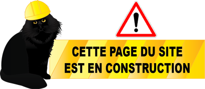 Page internet en cours d'élaboration